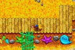 Banjo-Kazooie: Grunty's Revenge (Game Boy Advance)