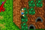 Banjo-Kazooie: Grunty's Revenge (Game Boy Advance)