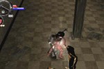 Hunter: The Reckoning Wayward (PlayStation 2)