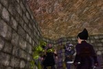 EverQuest: Lost Dungeons of Norrath (PC)