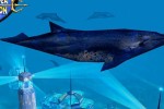 Deep Sea Tycoon (PC)