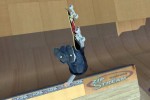 Tony Hawk's Pro Skater 4 (PC)