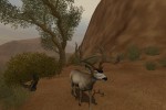 Cabela's Deer Hunt: 2004 Season (PlayStation 2)