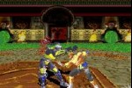 Mortal Kombat: Tournament Edition (Game Boy Advance)