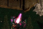 Lionheart: Legacy of the Crusader (PC)