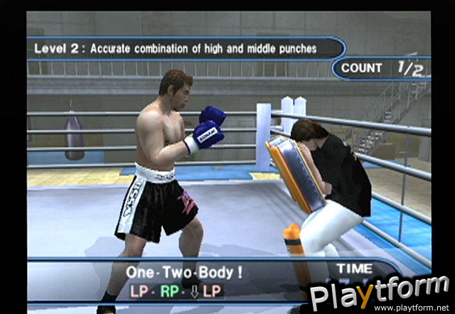 K-1 World Grand Prix (PlayStation 2)