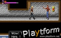 Buffy the Vampire Slayer: Wrath of the Darkhul King (Game Boy Advance)