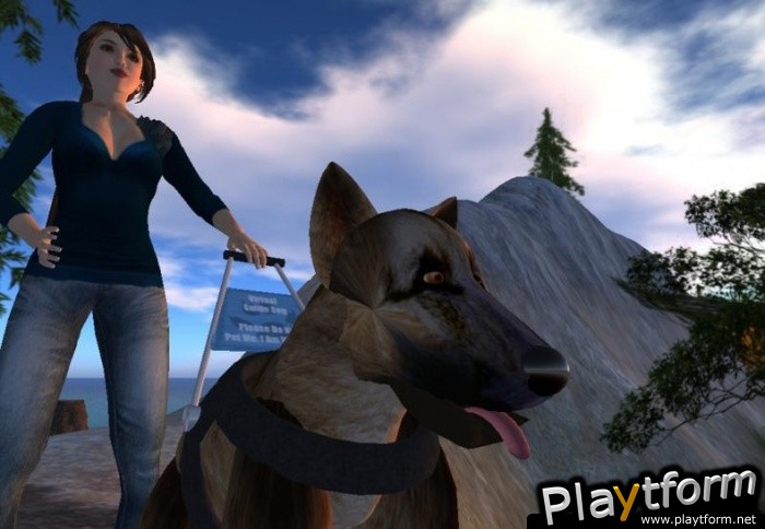 Second Life (PC)