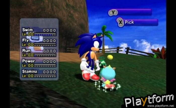 Sonic Adventure DX Director's Cut (GameCube)