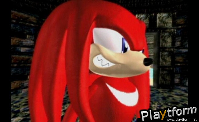 Sonic Adventure DX Director's Cut (GameCube)