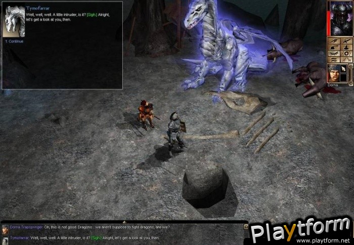 Neverwinter Nights: Shadows of Undrentide (PC)