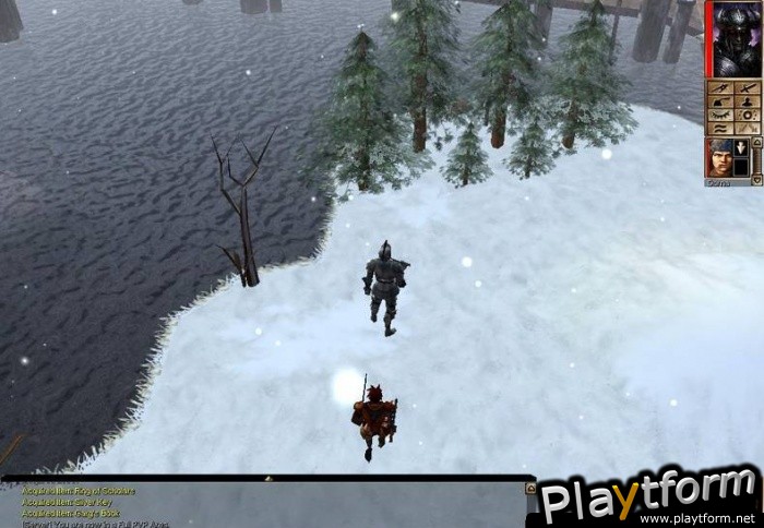 Neverwinter Nights: Shadows of Undrentide (PC)