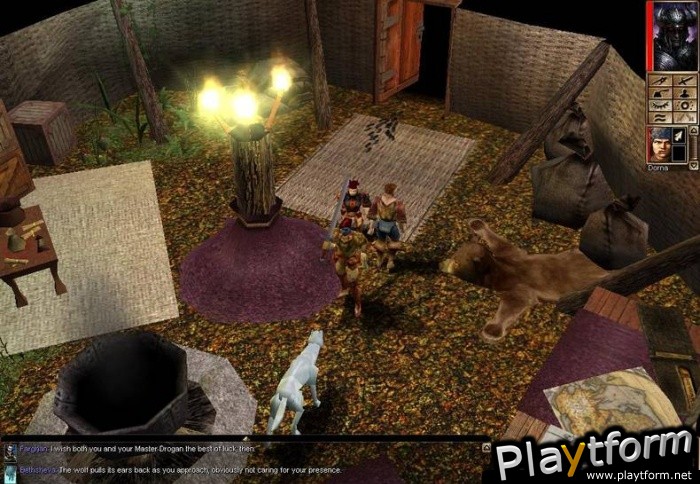Neverwinter Nights: Shadows of Undrentide (PC)