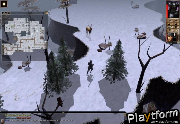 Neverwinter Nights: Shadows of Undrentide (PC)