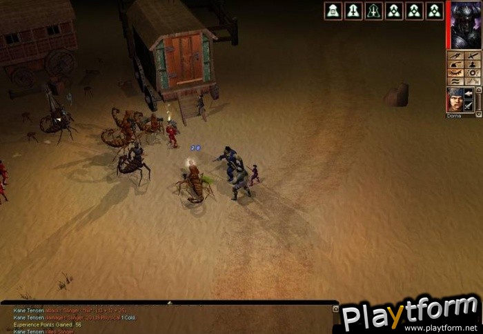 Neverwinter Nights: Shadows of Undrentide (PC)