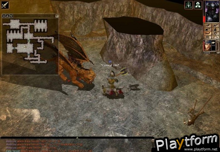 Neverwinter Nights: Shadows of Undrentide (PC)