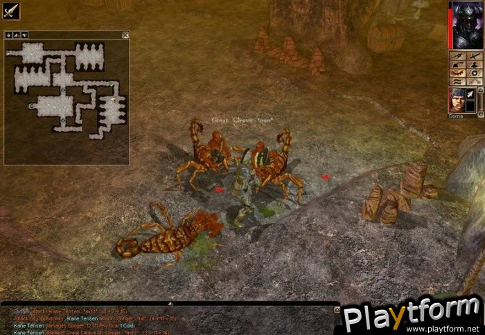 Neverwinter Nights: Shadows of Undrentide (PC)