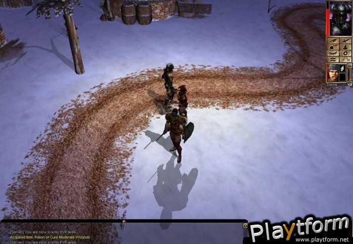 Neverwinter Nights: Shadows of Undrentide (PC)