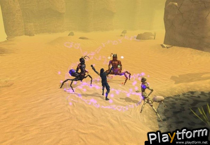 Neverwinter Nights: Shadows of Undrentide (PC)