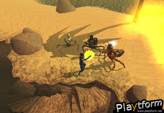 Neverwinter Nights: Shadows of Undrentide (PC)