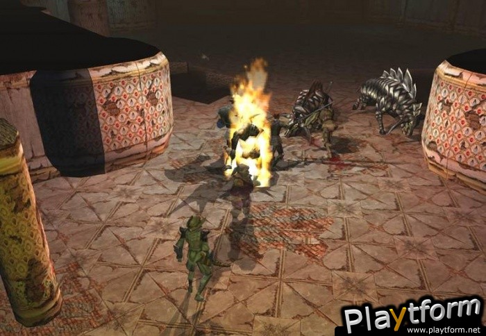Neverwinter Nights: Shadows of Undrentide (PC)