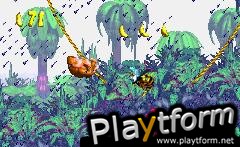 Donkey Kong Country (Game Boy Advance)