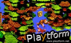 Donkey Kong Country (Game Boy Advance)