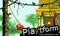 Donkey Kong Country (Game Boy Advance)