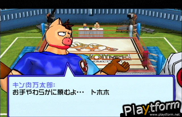 Ultimate Muscle: Legends vs. New Generation (GameCube)