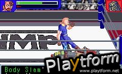 Ultimate Muscle: The Kinnikuman Legacy - The Path of the Superhero (Game Boy Advance)