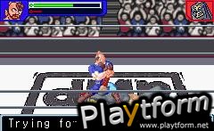 Ultimate Muscle: The Kinnikuman Legacy - The Path of the Superhero (Game Boy Advance)