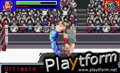 Ultimate Muscle: The Kinnikuman Legacy - The Path of the Superhero (Game Boy Advance)