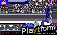 Ultimate Muscle: The Kinnikuman Legacy - The Path of the Superhero (Game Boy Advance)