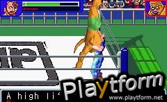 Ultimate Muscle: The Kinnikuman Legacy - The Path of the Superhero (Game Boy Advance)