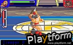 Ultimate Muscle: The Kinnikuman Legacy - The Path of the Superhero (Game Boy Advance)