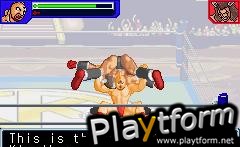 Ultimate Muscle: The Kinnikuman Legacy - The Path of the Superhero (Game Boy Advance)