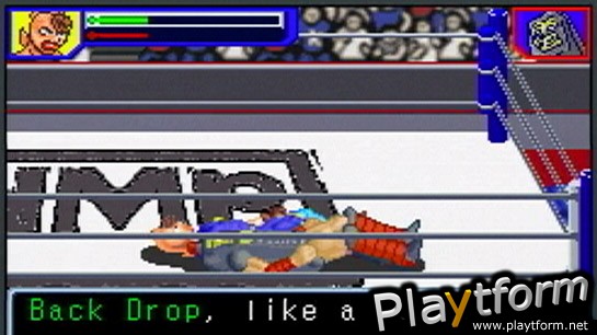 Ultimate Muscle: The Kinnikuman Legacy - The Path of the Superhero (Game Boy Advance)