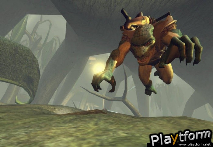 Brute Force (Xbox)