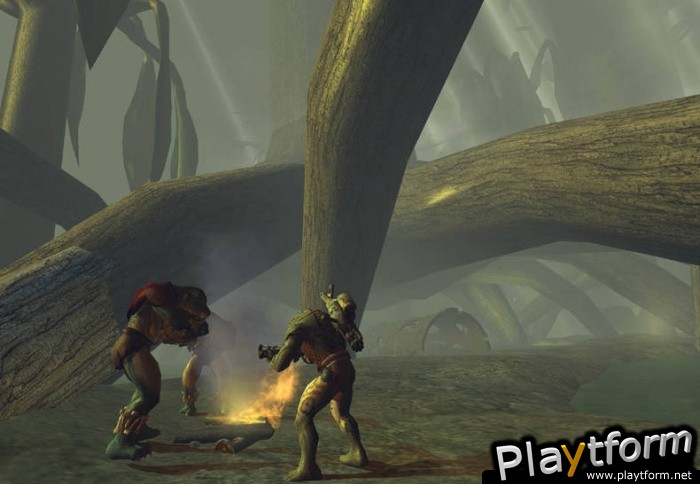 Brute Force (Xbox)