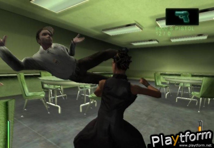 Enter the Matrix (PC)