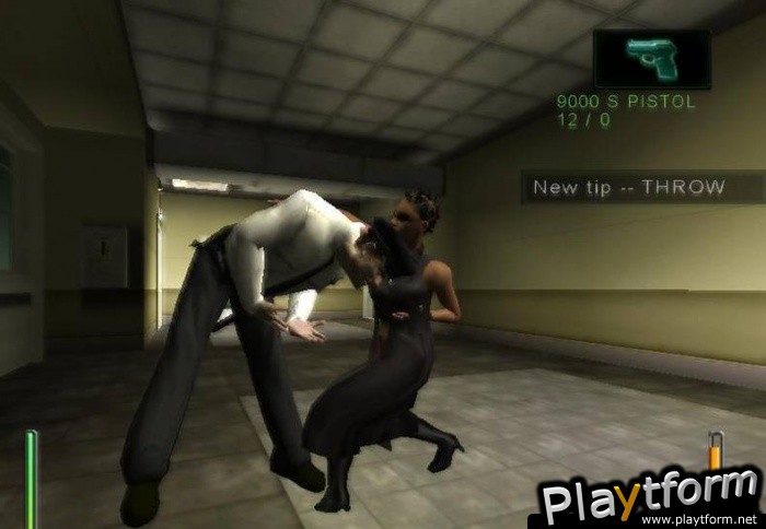 Enter the Matrix (PC)
