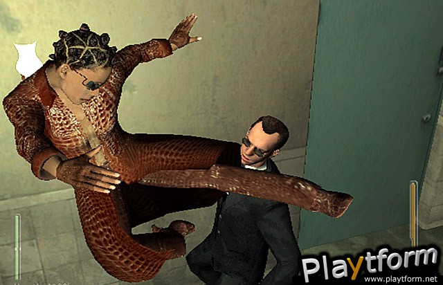 Enter the Matrix (PC)
