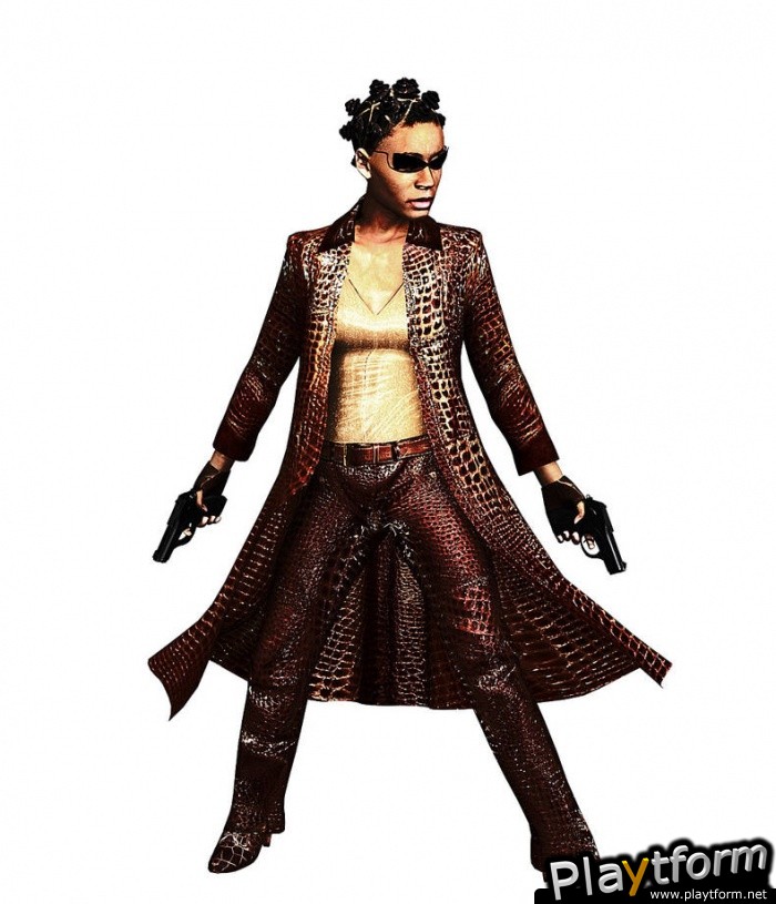 Enter the Matrix (PC)