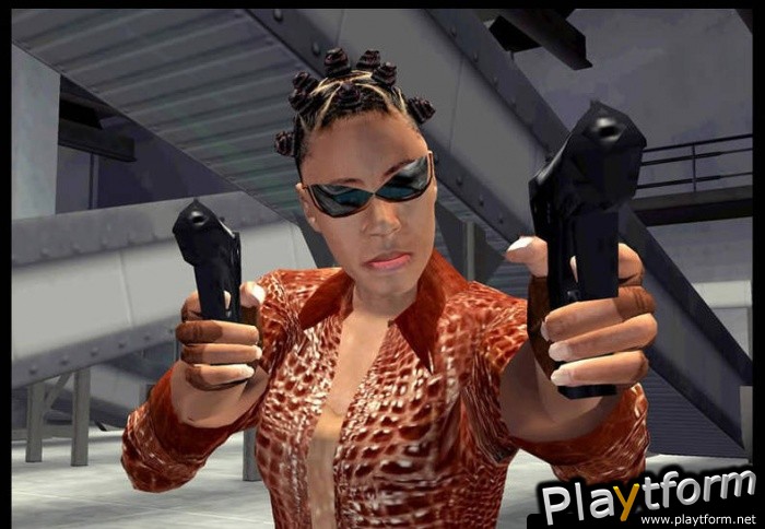 Enter the Matrix (PC)