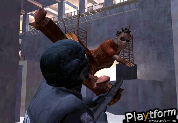 Enter the Matrix (PlayStation 2)