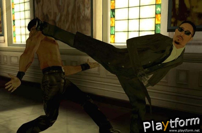 Enter the Matrix (PlayStation 2)