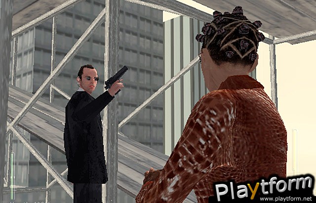 Enter the Matrix (PlayStation 2)