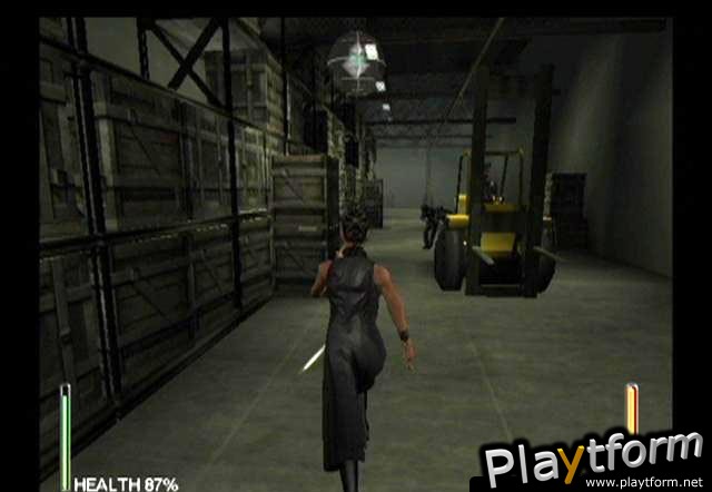 Enter the Matrix (GameCube)