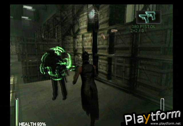 Enter the Matrix (GameCube)