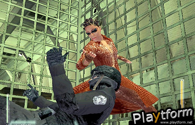 Enter the Matrix (GameCube)